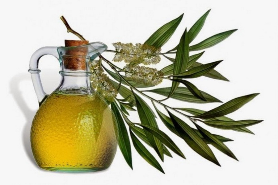 Эфирное масло чайного дерева